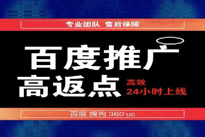 某行业领先企业背后的百度推广代理商策略